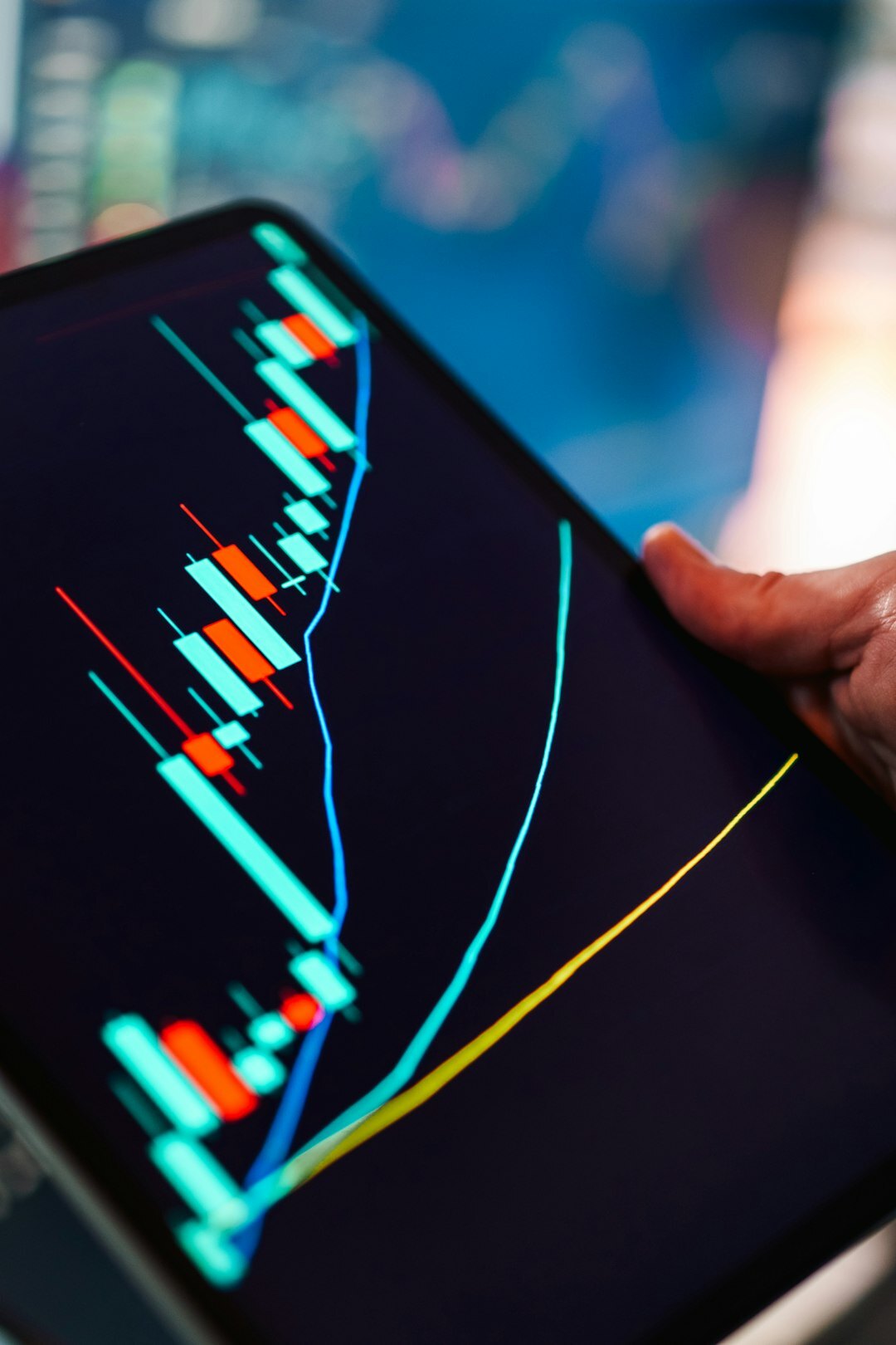 person reviewing investment charts